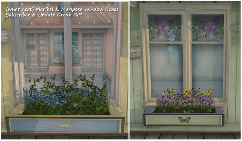 Window Boxes Subscriber’s Group Gift