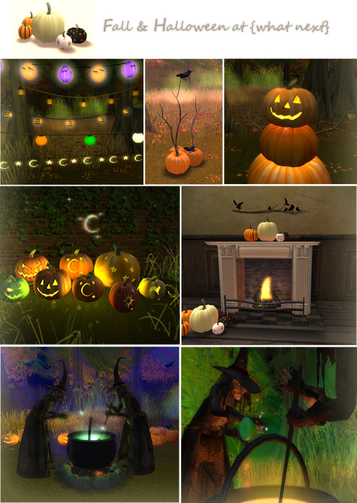{what next} Fall Event this weekend!
