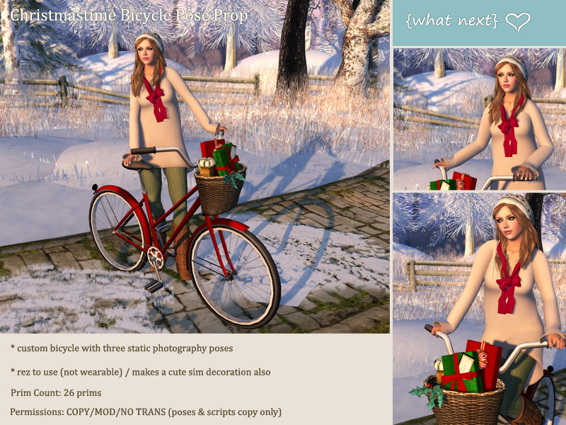 Seasonal Bicycle Pose Props at {what next)