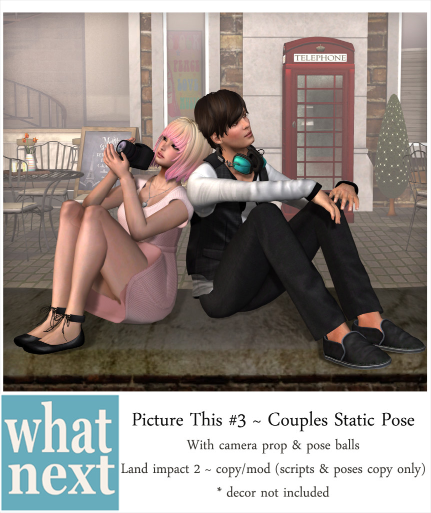 {what next} Picture This #3 Couples Static Pose