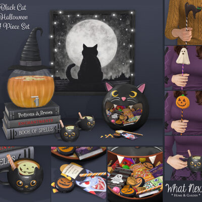 Black Cat Halloween Set for ACCESS